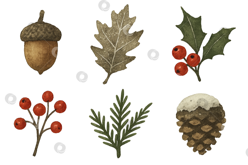 Скачать Рождественские зимние элементы, включая желудь, листья, ягоды, сосновую шишку. Выделенные на прозрачном фоне фотосток Ozero