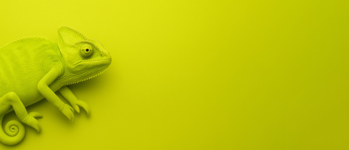 [object Object] undefined