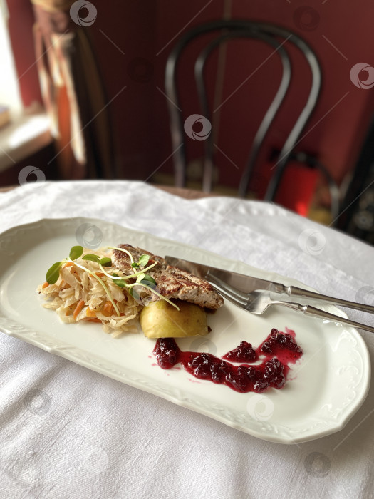 Скачать Изысканное блюдо с курицей-гриль и ягодным соусом на элегантной белой тарелке в ресторанной обстановке фотосток Ozero