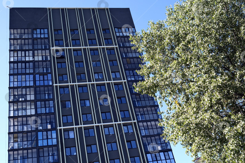 Скачать Современная архитектура и зелёная листва. Стекло и камень. фотосток Ozero