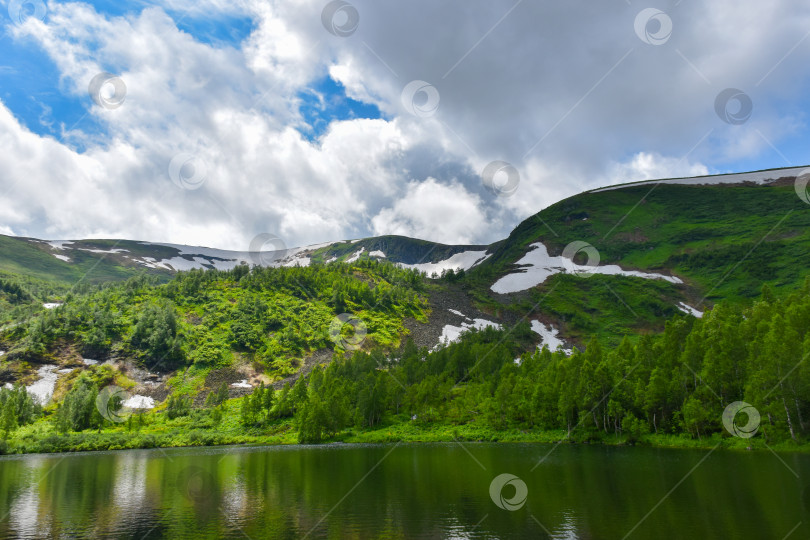 Скачать Таежный пейзаж фотосток Ozero