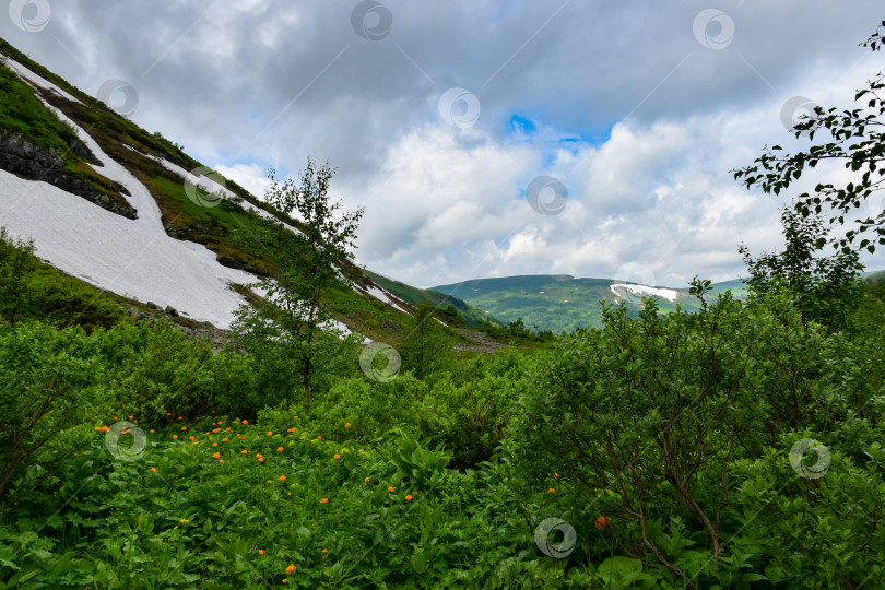 Скачать Таежный пейзаж фотосток Ozero