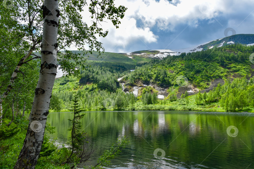Скачать Таежный пейзаж фотосток Ozero