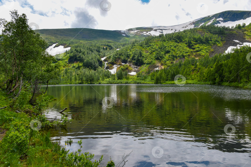 Скачать Таежный пейзаж фотосток Ozero