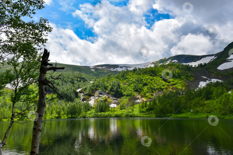 Скачать Таежный пейзаж фотосток Ozero