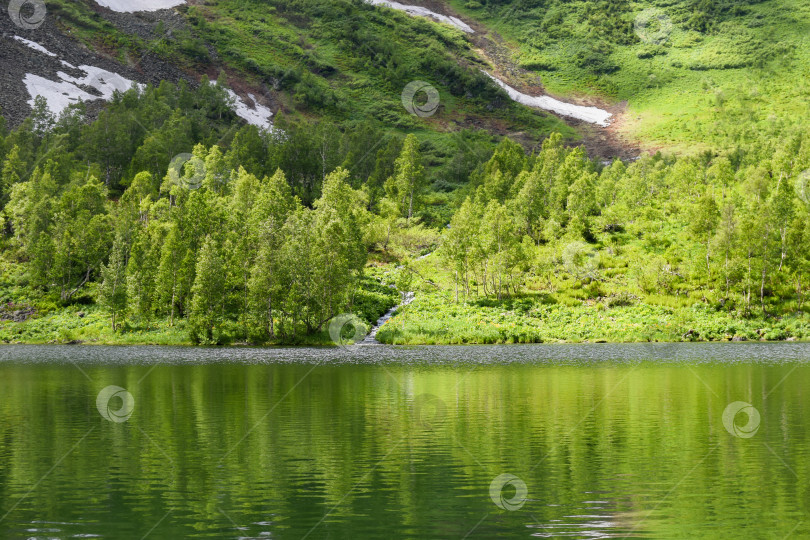 Скачать Таежный пейзаж фотосток Ozero