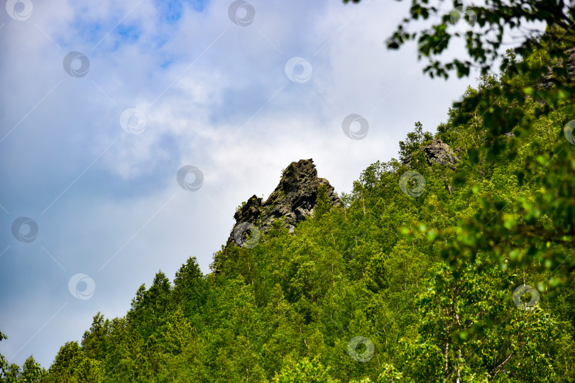 Скачать Таежный пейзаж фотосток Ozero