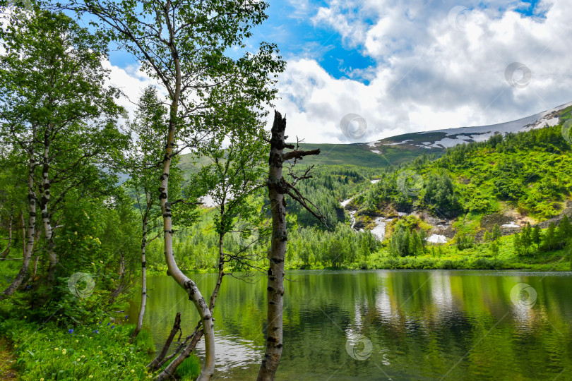 Скачать Таежный пейзаж фотосток Ozero