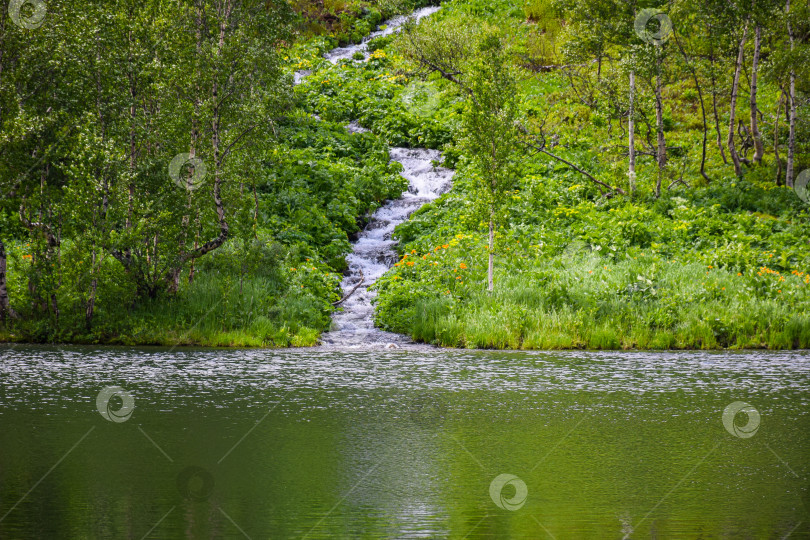 Скачать Таежный пейзаж фотосток Ozero