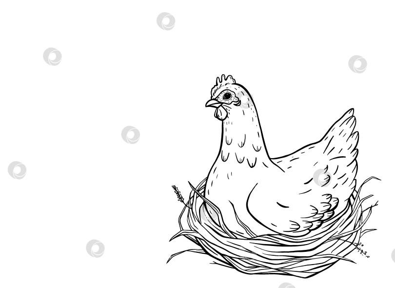 Скачать Подробная иллюстрация в виде курицы, сидящей на гнезде, полном яиц. Идеально подходит для весенне-пасхального дизайна, упаковки фермерских продуктов, кухонного текстиля, загородного декора и проектов на органическую тематику. фотосток Ozero