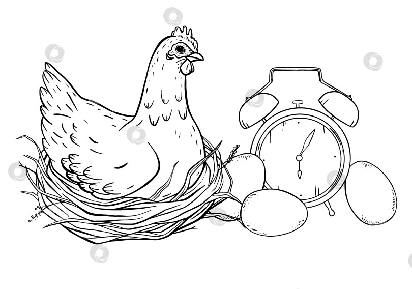 Скачать Нарисованная тушью курица, сидящая на гнезде с яйцами, и будильник рядом. Символическая иллюстрация сельской местности для упаковки, настенного искусства, кухонного текстиля и принтов на тему сельского образа жизни. фотосток Ozero