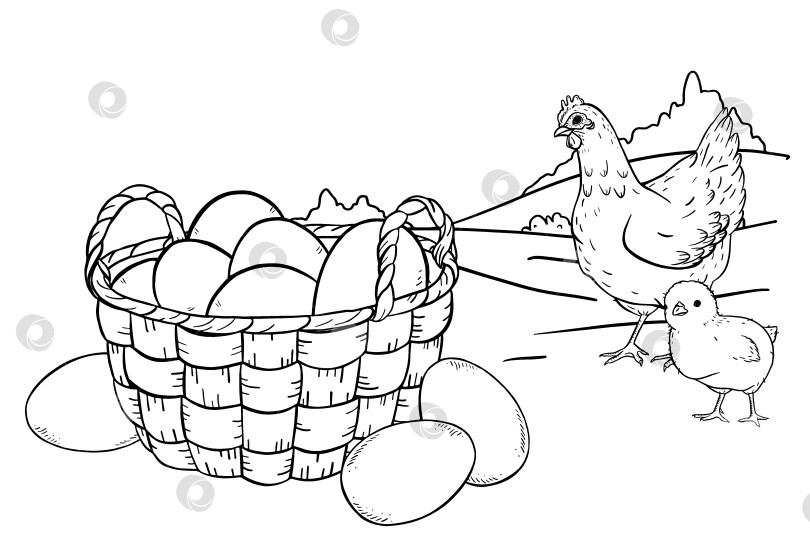 Скачать Монохромная рисованная иллюстрация, изображающая плетеную корзинку, наполненную яйцами. Классический рисунок тушью в деревенском стиле подходит для упаковки кухонных принадлежностей, пасхального дизайна, брендирования, текстиля и оформления изделий в деревенском стиле фотосток Ozero