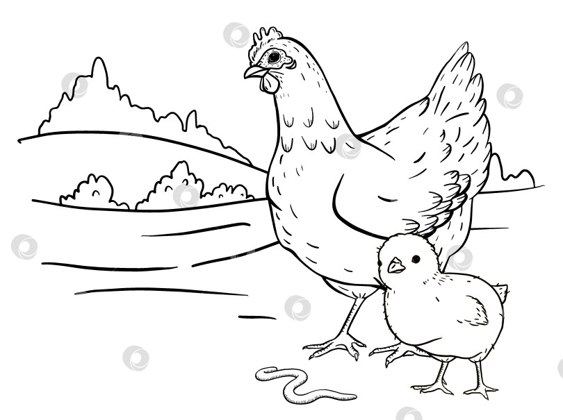 Скачать Нарисованные от руки тушью курица и цыпленок прогуливаются вместе по сельскому пейзажу с холмами. Идеально подходит для эко-упаковки, текстильных принтов в деревенском стиле, образовательных проектов и творческих проектов в сельской местности. фотосток Ozero