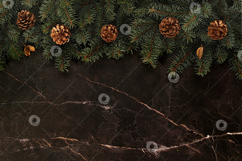 Скачать Праздничная зимняя поздравительная открытка и баннер на экране, красивый рождественский и новогодний фон с сосновыми шишками и живыми еловыми ветками, дизайн продукта для праздничной рекламы, концепция Сочельника, фотосток Ozero