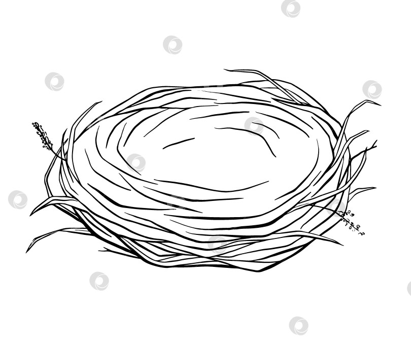 Скачать Набросок пустого птичьего гнезда из веток в деревенском природном стиле. Рисованная тушью иллюстрация для весенней тематики, дикой природы, раскрасок, экобрендинга или просвещения по вопросам природы. фотосток Ozero