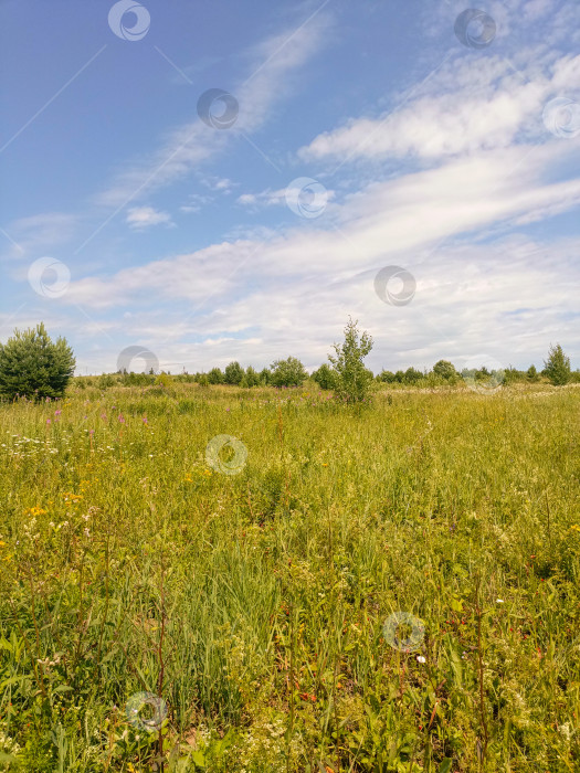 Скачать Летний луг в живописном стиле, в зеленых и желтых тонах, олицетворяющий красоту и спокойствие природы с помощью copy space фотосток Ozero