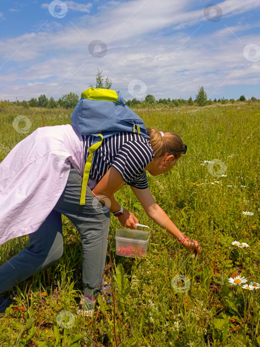 Скачать Человек с активным настроением собирает землянику на солнечном поле, символизируя летние развлечения и сбор урожая фотосток Ozero
