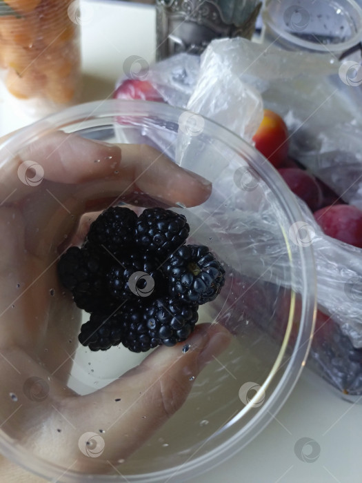 Скачать Рука, держащая контейнер со свежей ежевикой в нежном темно-фиолетовом и черном цветах крупным планом, символизирует здоровую пищу и летние ягоды фотосток Ozero