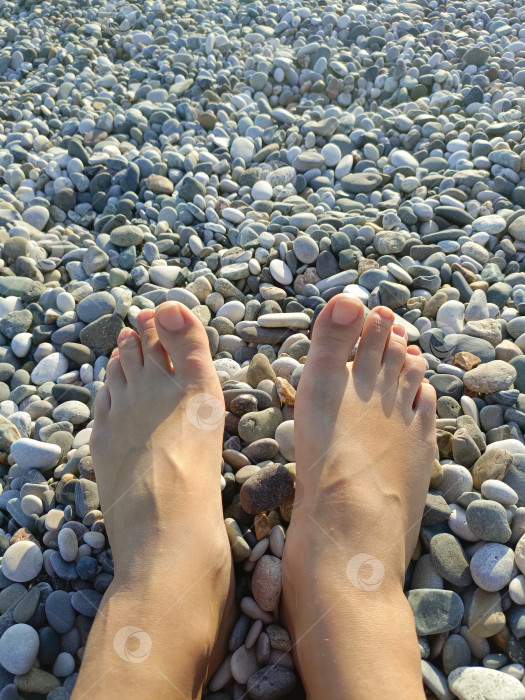 Скачать Босые женские ступни в расслабленном настроении покоятся на гладкой гальке, символизируя санаторно-курортное лечение и летний отдых фотосток Ozero