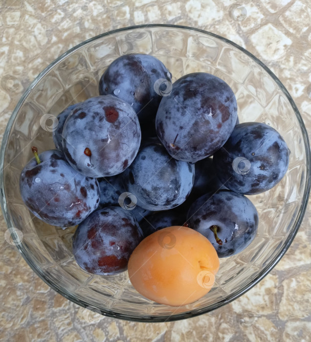 Скачать Свежие сливы и абрикос в стеклянной посуде в минималистском стиле, фиолетового и оранжевого цветов, символизирующие здоровое питание и сбор урожая. фотосток Ozero