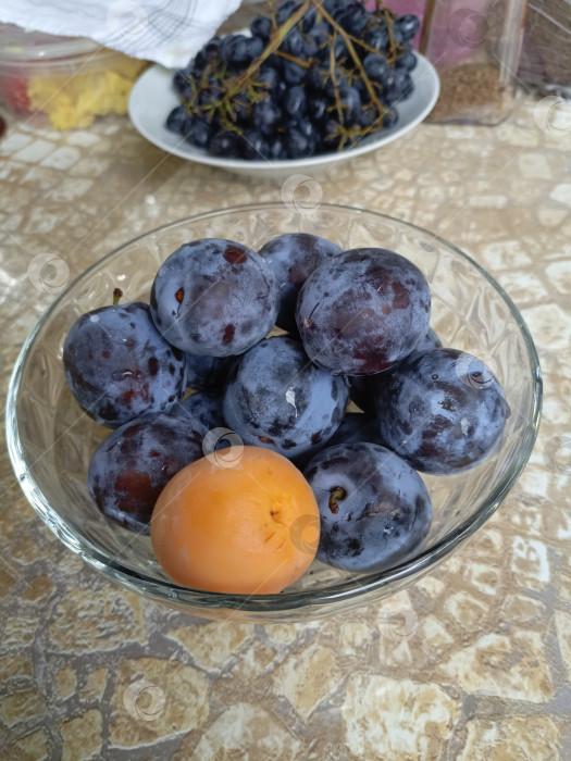 Скачать Сливы и абрикос в стеклянной вазе в реалистичном стиле натюрморта в фиолетовых, оранжевых и бежевых тонах, символизирующие здоровое питание и сбор урожая фотосток Ozero