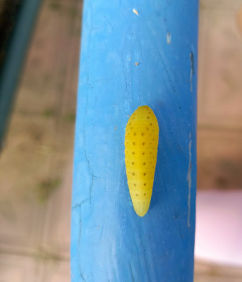 [object Object] undefined