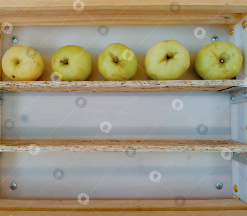 Скачать Пять зеленых яблок, расставленных в минималистском стиле на деревянной полке, олицетворяют порядок и простоту в сочетании с пространством для копирования фотосток Ozero