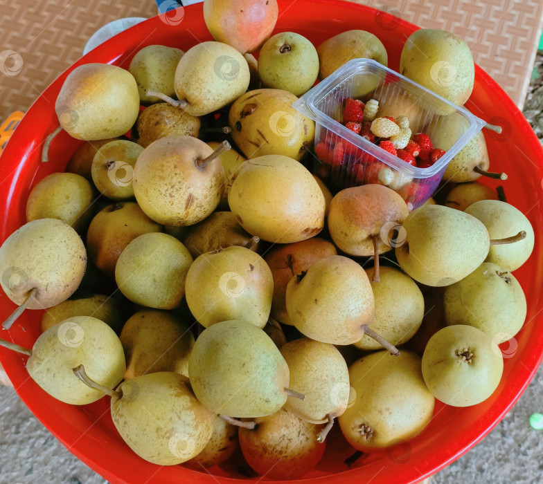 Скачать Изобилие свежих груш и клубники в деревенском стиле в ярких цветах символизирует здоровое питание и летний урожай фотосток Ozero