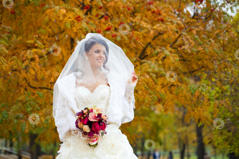 Скачать Портрет красивой улыбающейся невесты фотосток Ozero