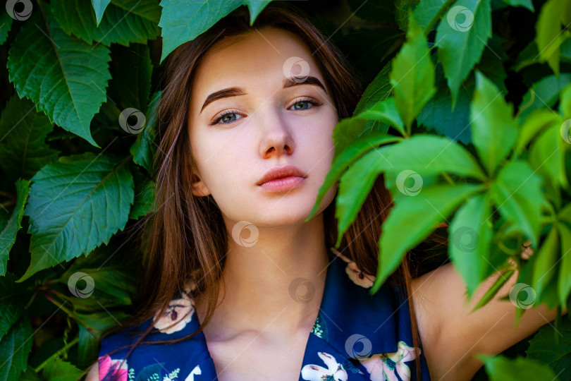 Скачать Молодая женщина в платье с голубыми цветами на фоне зеленого плюща фотосток Ozero