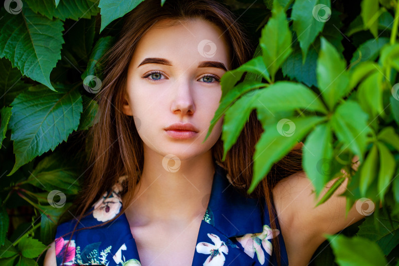 Скачать Молодая женщина в платье с голубыми цветами на фоне зеленого плюща фотосток Ozero