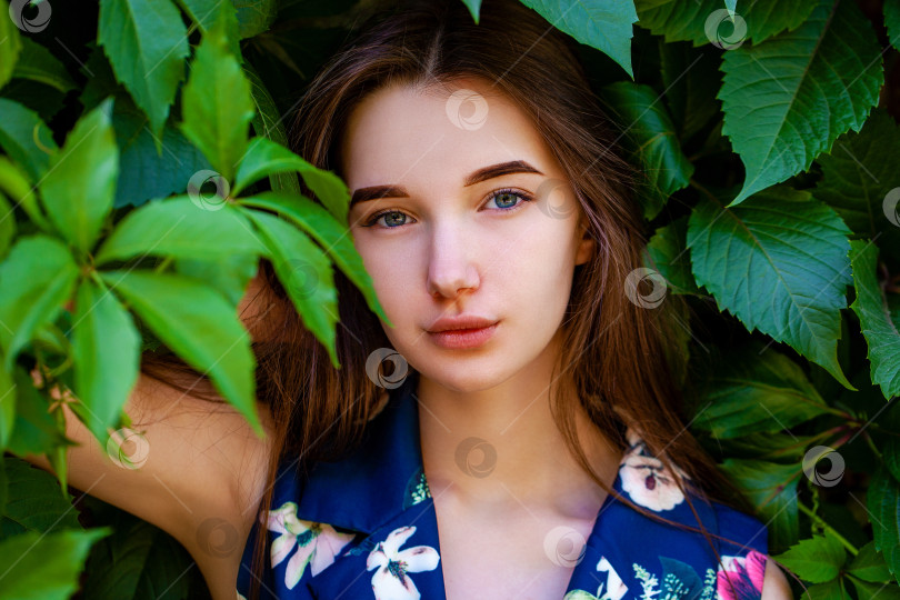 Скачать Молодая женщина в платье с голубыми цветами на фоне зеленого плюща фотосток Ozero