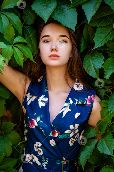 Скачать Молодая женщина в платье с голубыми цветами на фоне зеленого плюща фотосток Ozero
