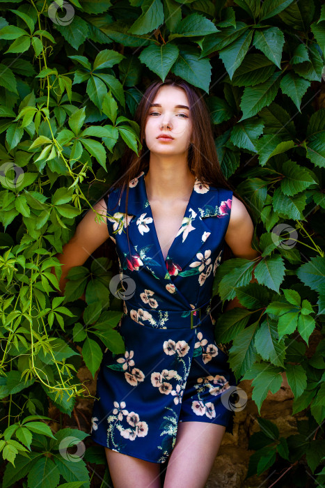Скачать Молодая женщина в платье с голубыми цветами на фоне зеленого плюща фотосток Ozero
