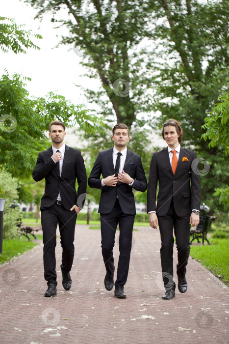 Скачать Трое молодых людей в элегантных деловых костюмах фотосток Ozero