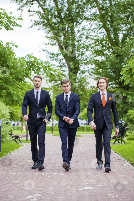 Скачать Трое молодых людей в элегантных деловых костюмах фотосток Ozero