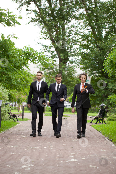 Скачать Трое молодых людей в элегантных деловых костюмах фотосток Ozero