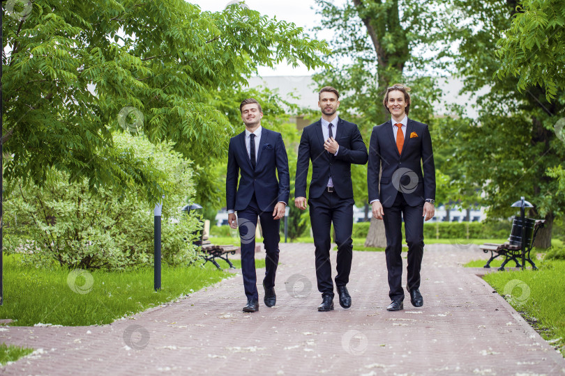 Скачать Трое молодых людей в элегантных деловых костюмах фотосток Ozero