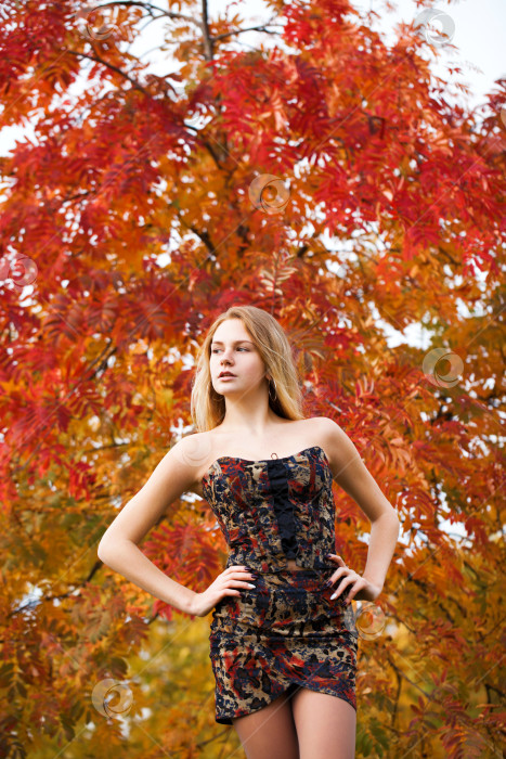 Скачать Портрет красивой молодой женщины в платье фотосток Ozero