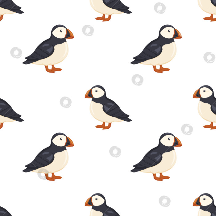 Скачать Милый бесшовный узор в виде птиц-тупиков фотосток Ozero
