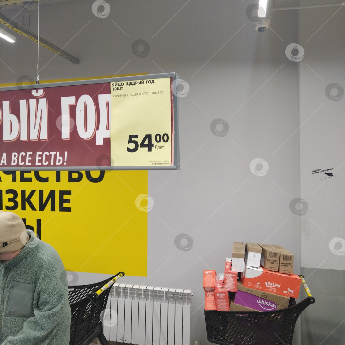 Скачать Отдел куриных яиц в магазине "Чижик". фотосток Ozero