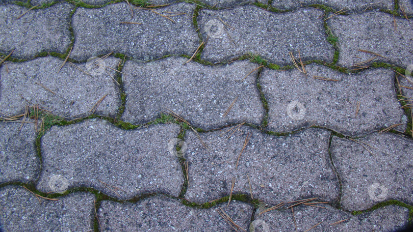 Скачать Асфальт фотосток Ozero