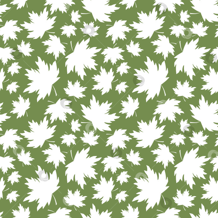 Скачать Бесшовный узор из кленовых листьев. Силуэт листвы Acer на безграничном фоне. Бесконечная цветочная текстура. Зеленые и белые листья, повторяющие дизайн поверхности в пастельных тонах. фотосток Ozero