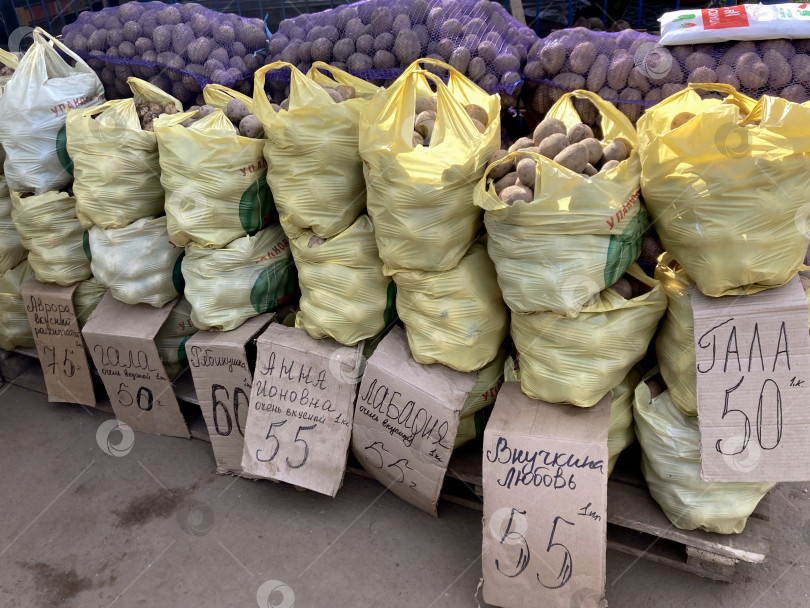 Скачать Картофель на рынке. фотосток Ozero