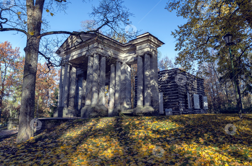 Скачать Березовый домик и портал "Маска" фотосток Ozero