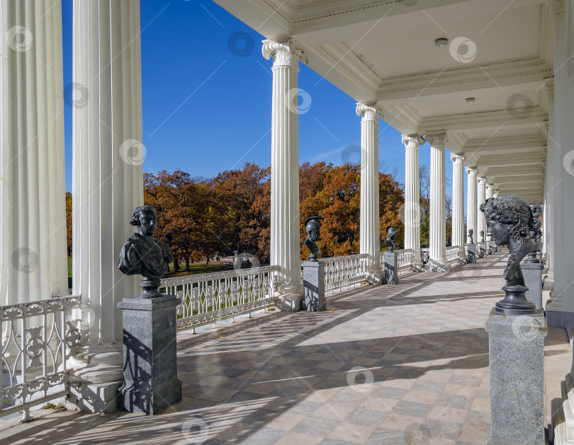 Скачать Галерея Камеронова фотосток Ozero