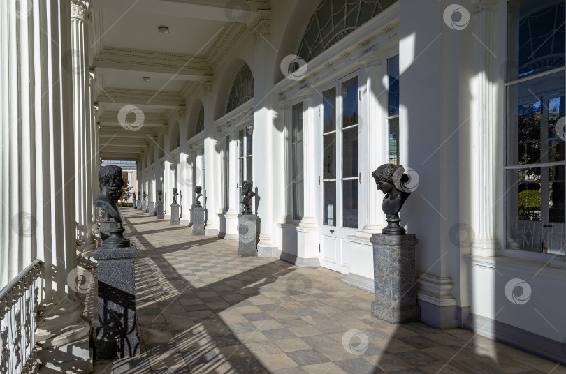 Скачать Галерея Камеронова фотосток Ozero