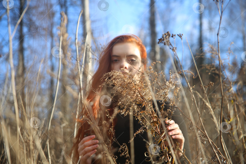 Скачать красивая молодая рыжая девушка фотосток Ozero