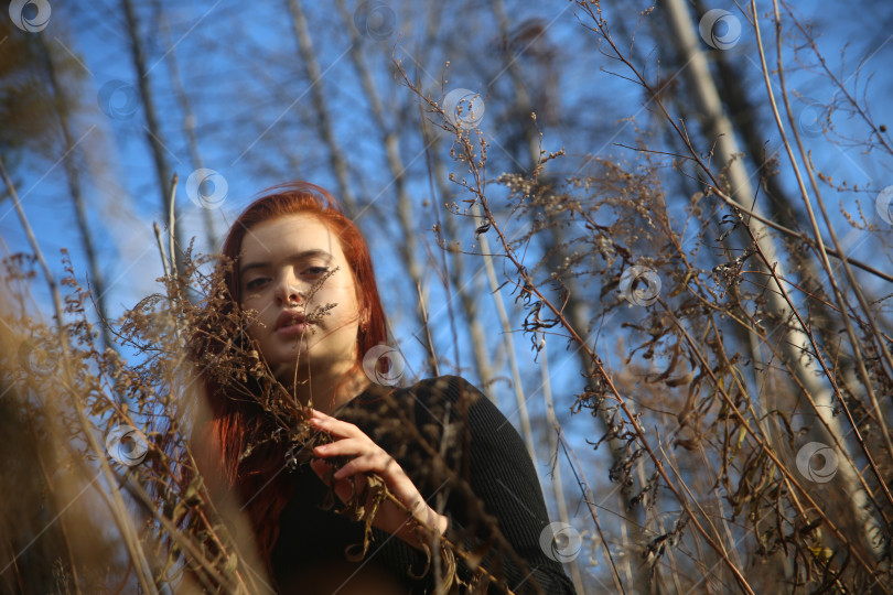 Скачать красивая молодая рыжая девушка фотосток Ozero