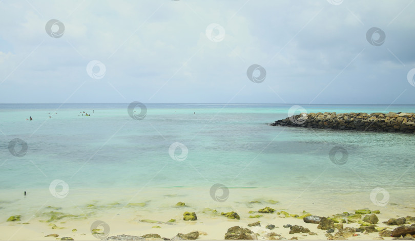 Скачать Голубое небо и пляж фотосток Ozero